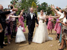 Wedding guests (Image)
